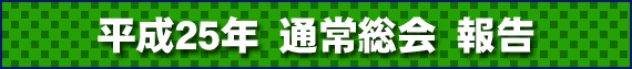 平成25年通常総会